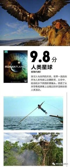 推荐9部堪称神级的BBC精品纪录片 暑假和孩子一起看